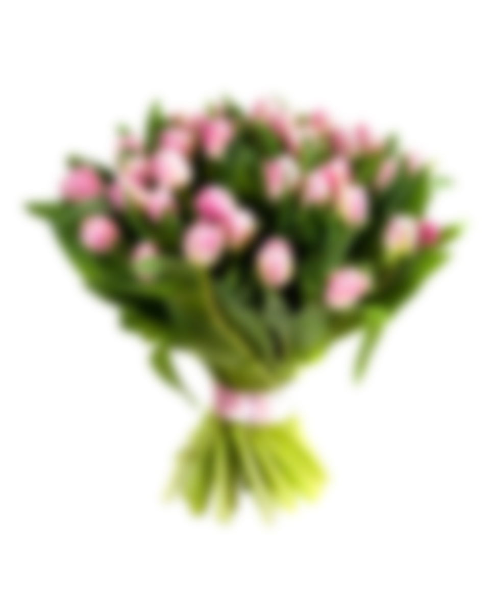 Wonsectetur adipiscing - immagine 4