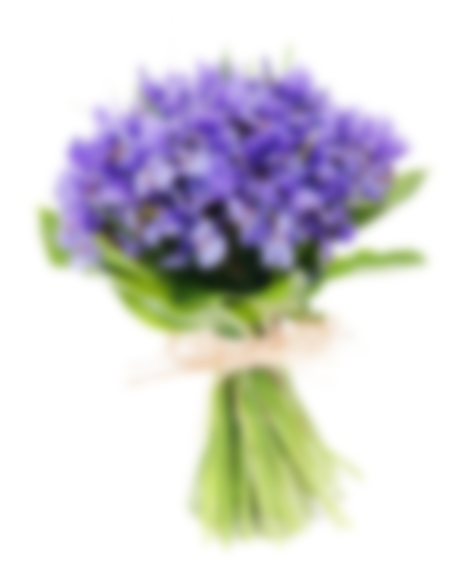 Wonsectetur adipiscing - immagine 2
