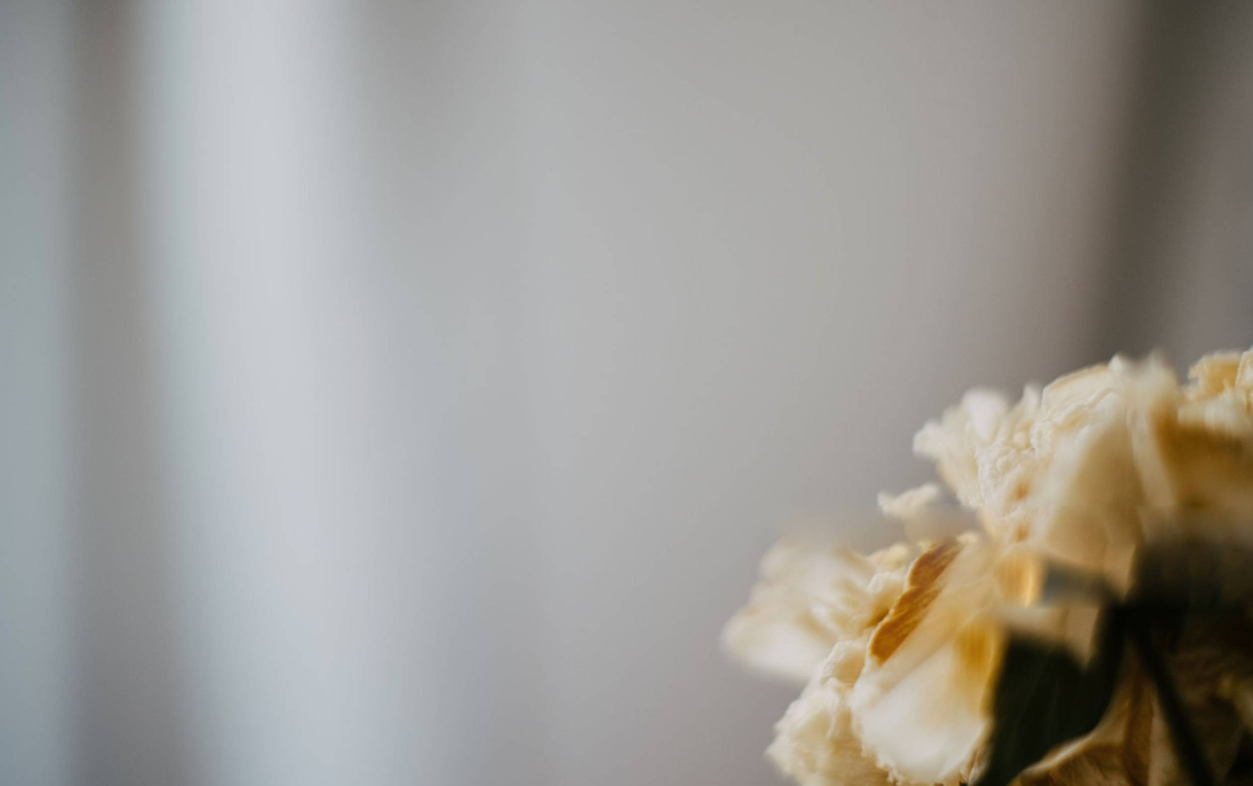 Screenshot 2025-04-08 alle 17.35.29